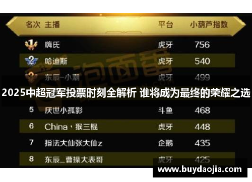 2025中超冠军投票时刻全解析 谁将成为最终的荣耀之选