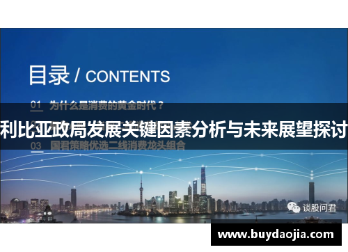 利比亚政局发展关键因素分析与未来展望探讨