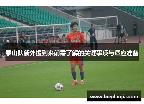 泰山队新外援到来前需了解的关键事项与适应准备