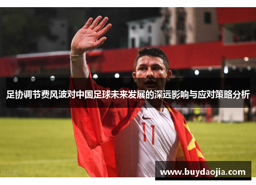 足协调节费风波对中国足球未来发展的深远影响与应对策略分析