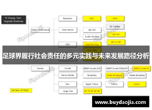 足球界履行社会责任的多元实践与未来发展路径分析