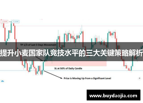 提升小麦国家队竞技水平的三大关键策略解析
